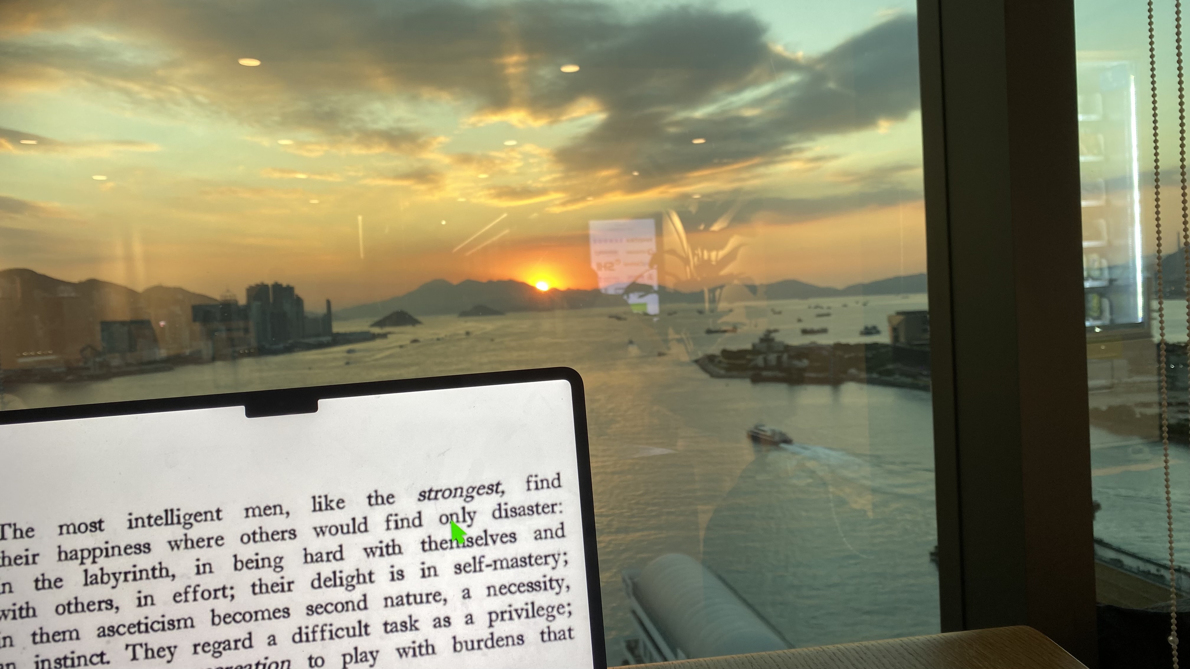 Working with laptop at sunset